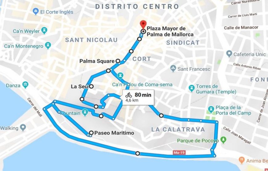 Recorrido en Segway con guía por la ciudad de Palma Mallorca