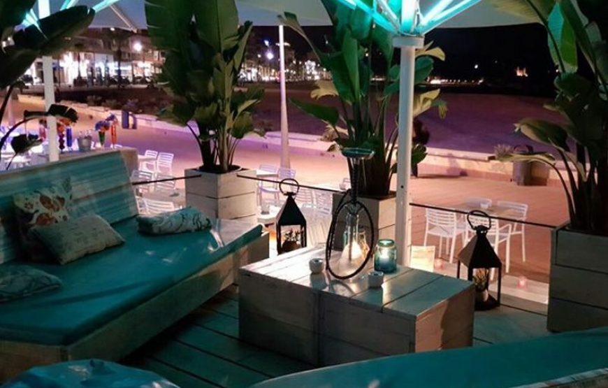 Dinner and private show of male or female stripper only for your group in Lloret de Mar