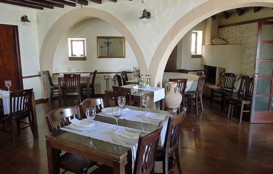 Pack Despedida en Ibiza | Taller Cócteles + Cena Premium Ibicenca y Show