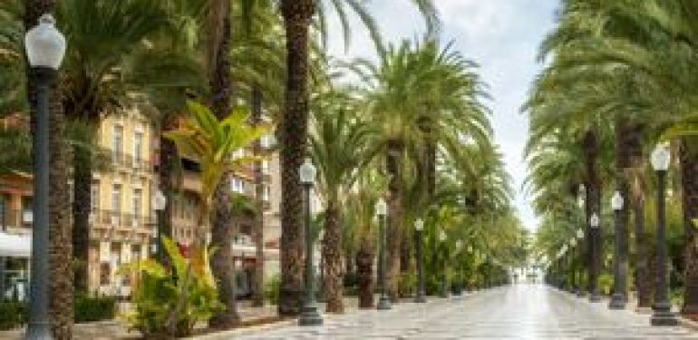 Alicante
