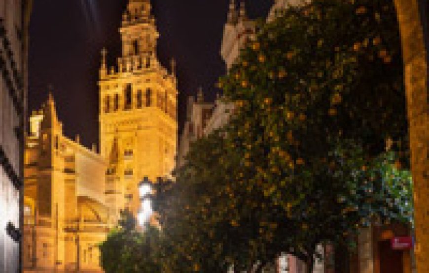 Cena y espectáculo privado de boy o estriper – Sevilla