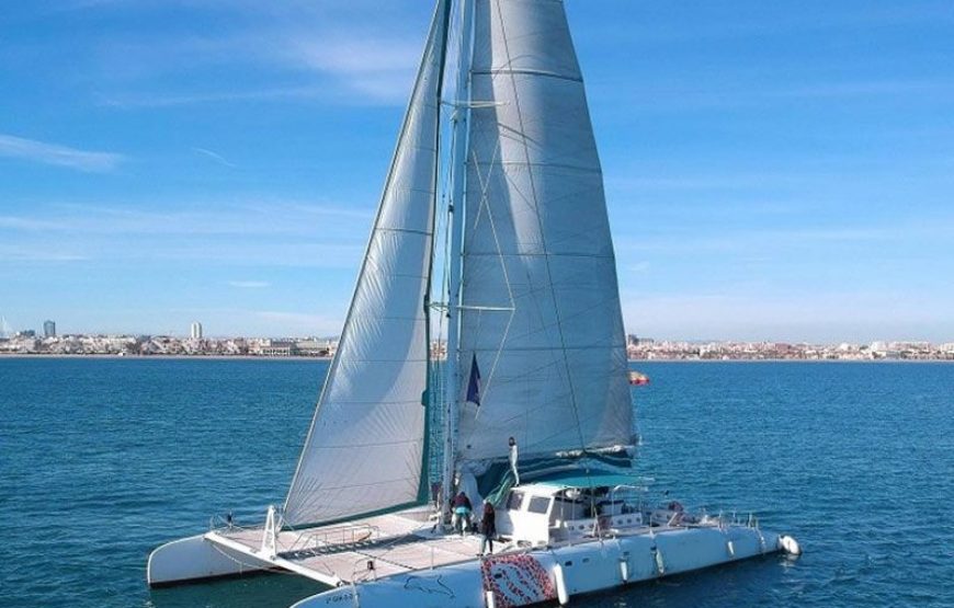 Boat Trip with meal included + Dinner & Show only for your group | Valencia Hen or Stag Party