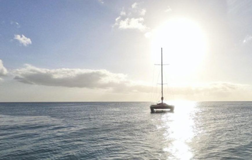 Excursión en Catamarán por la costa de Málaga con comida incluida
