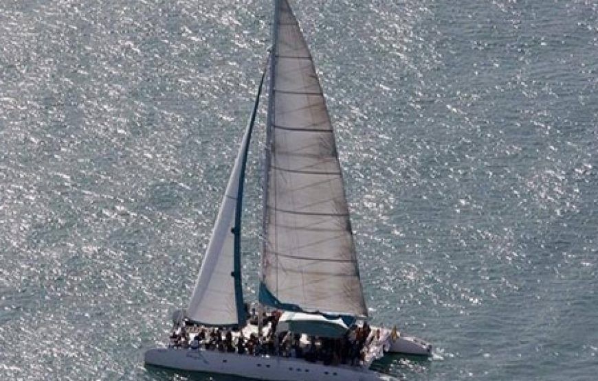 Excursión en Catamarán por la costa de Málaga con comida incluida