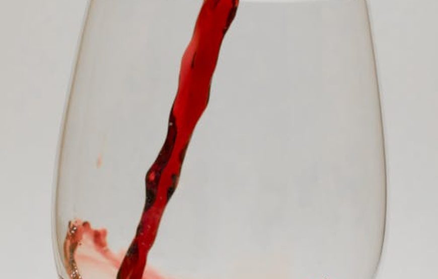 Dégustation de Vins Espagnols à Lloret de Mar | Expérience Premium avec Sommelier